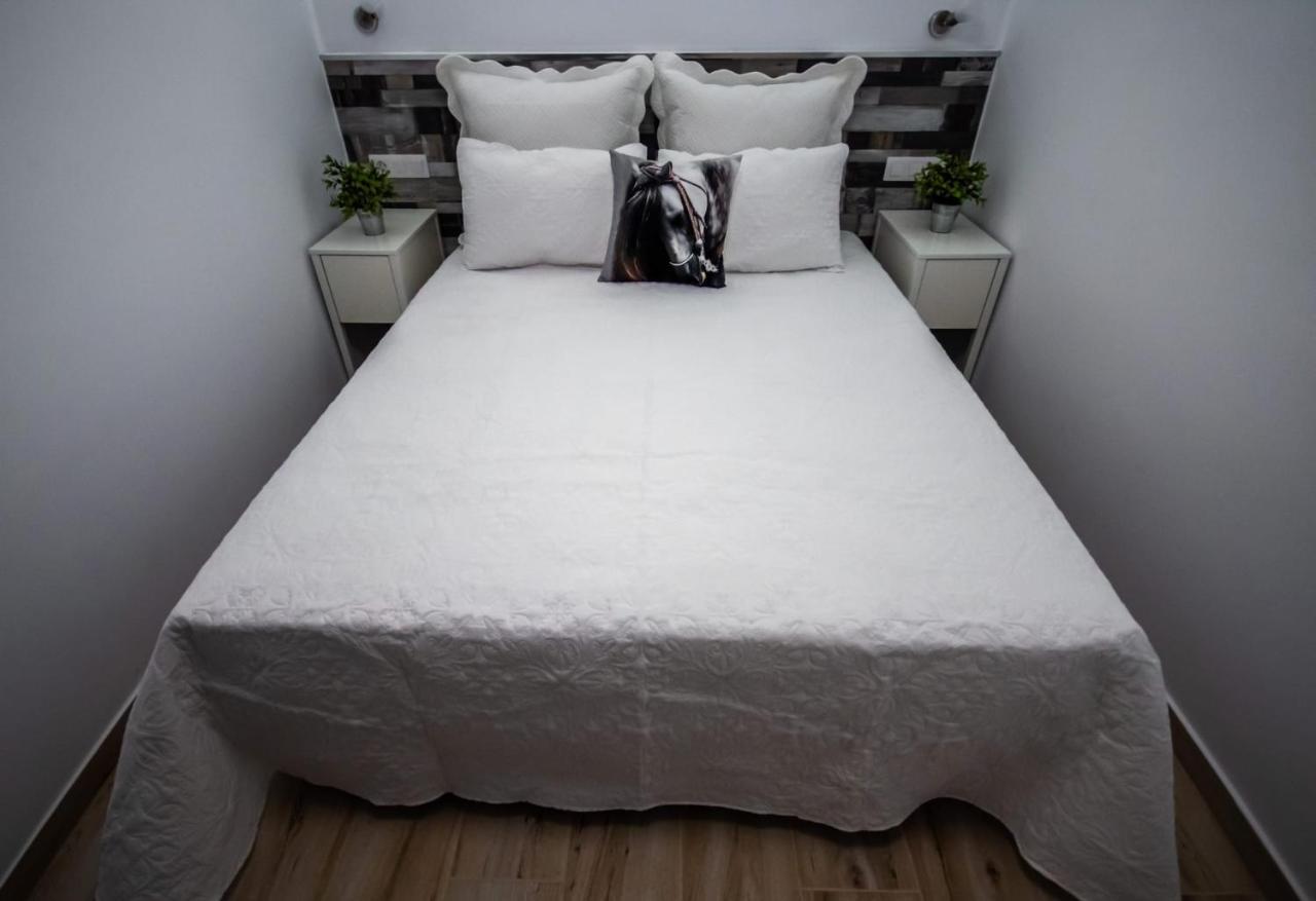 Los Elefantes Apartment San Bartolomé المظهر الخارجي الصورة